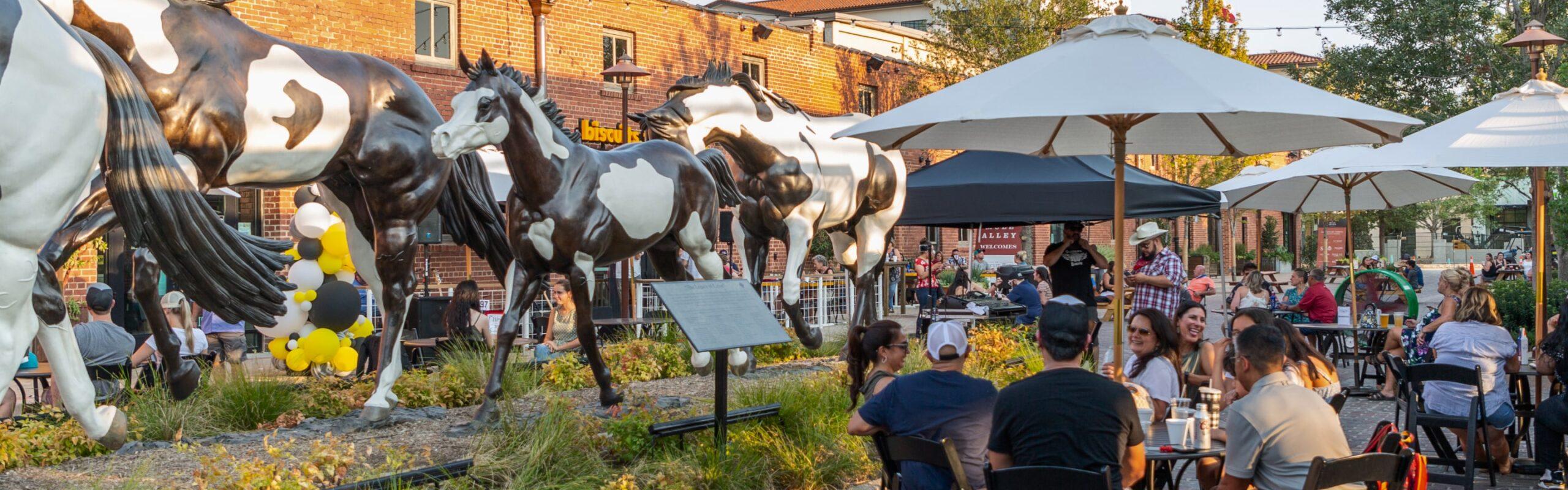 Default placeholder image